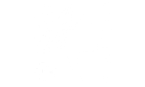 logos de mundo cuidados (1)